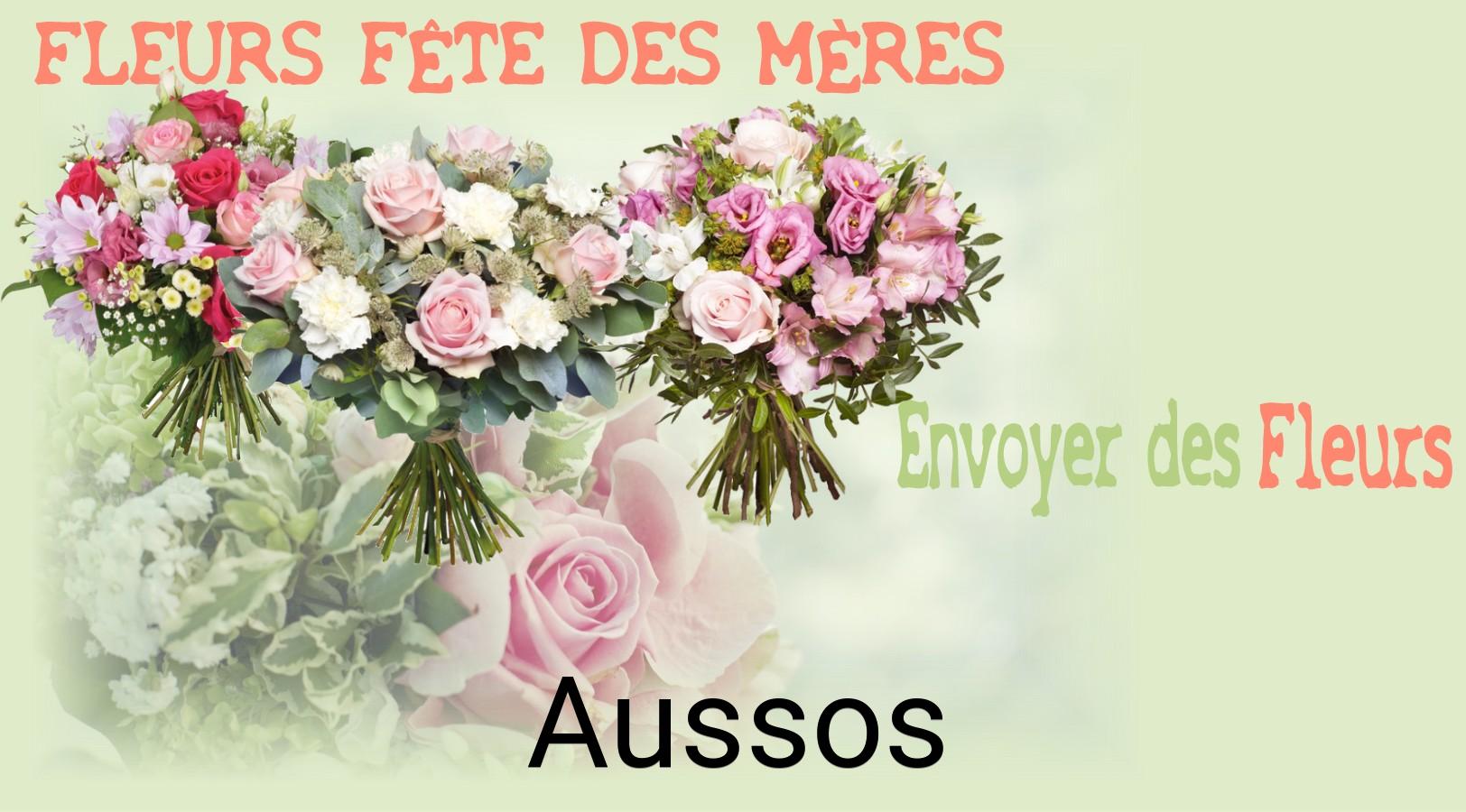 Bouquet de Fête des Mères livré à Aussos
